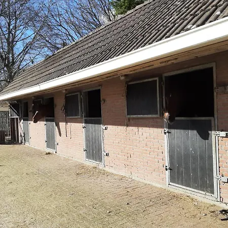 'T Wolthoes Vlagtwedde Exterior photo