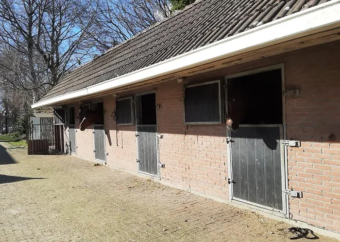 \'T Wolthoes