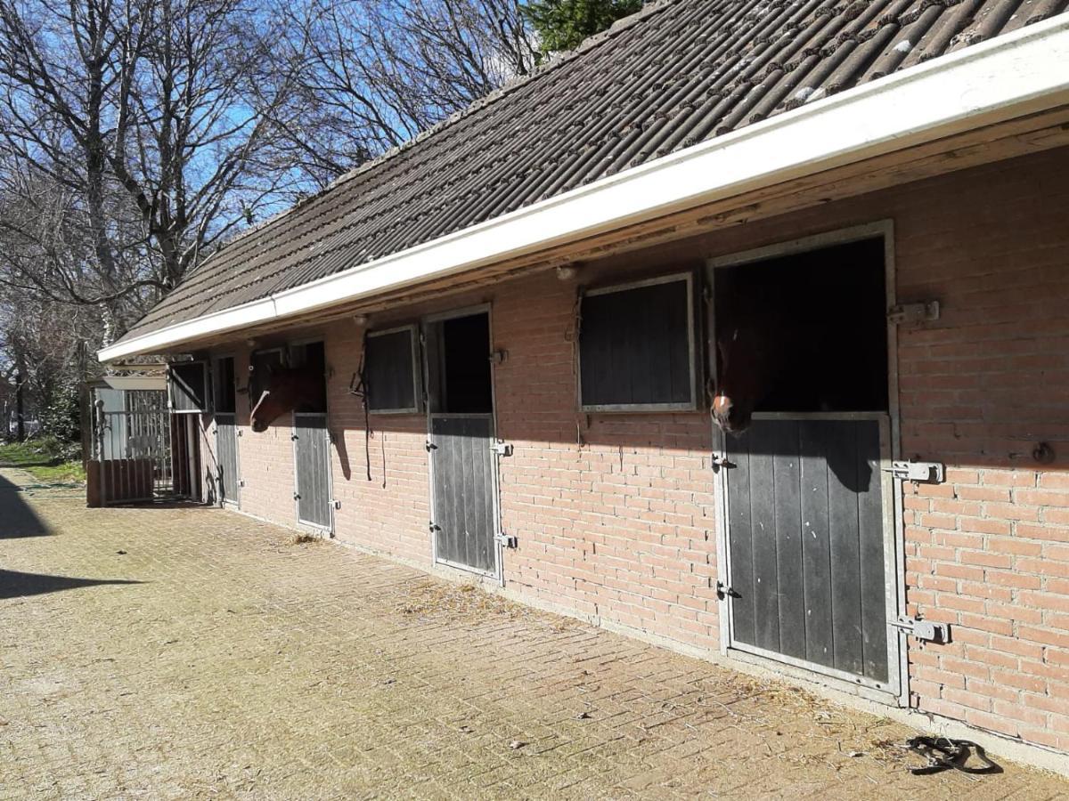 Apartment 't Wolthoes